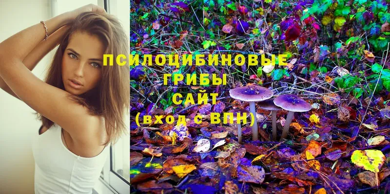 Псилоцибиновые грибы MAGIC MUSHROOMS  Злынка 